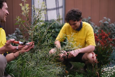 Ozzie Mowing & Gardening project 5