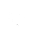 Palmerston Pest Control
