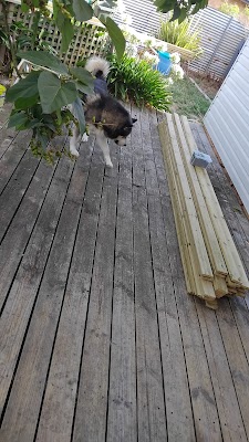 Payne Carpentry and Excavation work 3