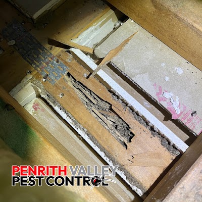 Penrith Valley Pest Control project 5