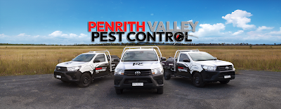 Penrith Valley Pest Control
