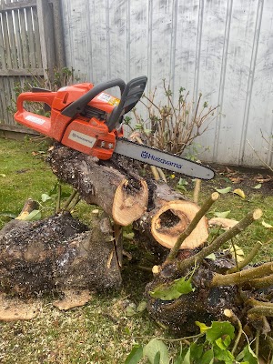 Perc’s Pruning and Lawnmowing photo 3