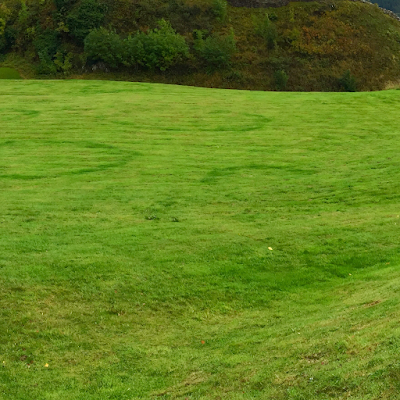 Perc’s Pruning and Lawnmowing project 4