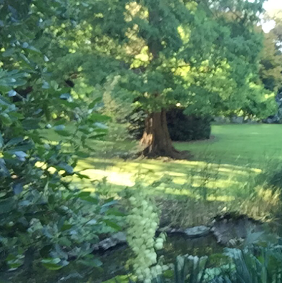 Perc’s Pruning and Lawnmowing project 5