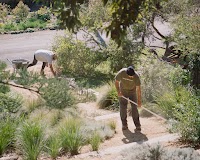 Perimeter Landscaping