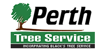 Perth Tree Service