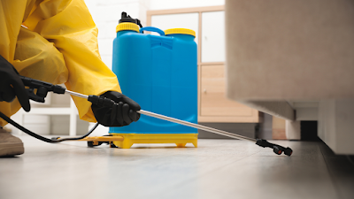 Pest Control St Clair work 3