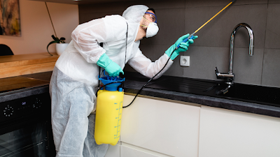 Pest Control St Clair project 5