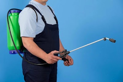 Pest Control St Clair