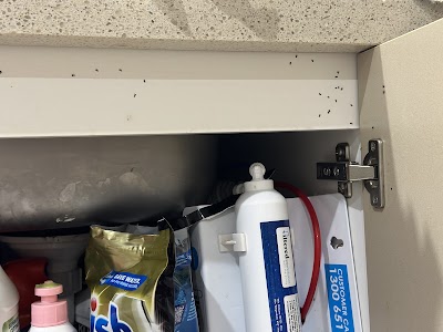 Pest Disturbers Pty. Ltd photo 3