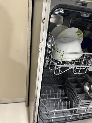 Pest Disturbers Pty. Ltd project 4