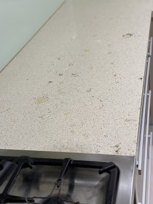 Pest Disturbers Pty. Ltd project 5