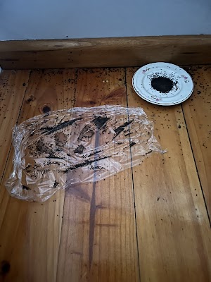 Pest Disturbers Pty. Ltd project 6