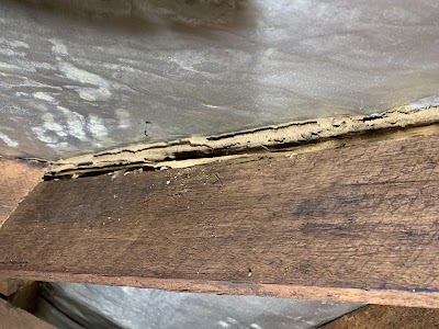 Pestfix Pest Management work 3