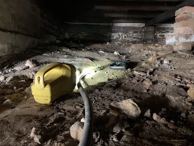 Pestfix Pest Management work 4