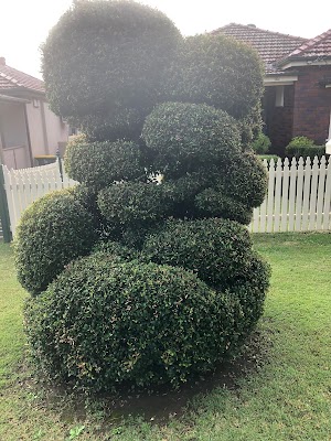 Pichor‘s Gardening work 2