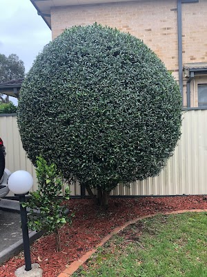 Pichor‘s Gardening work 3