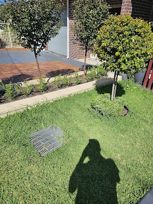 Pichor‘s Gardening project 5