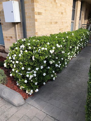 Pichor‘s Gardening project 6