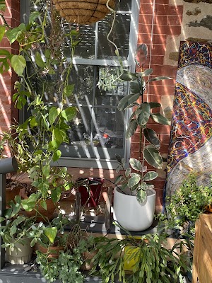 Plasflo Irrigation work 2