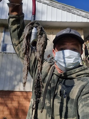 Plumber East Maitland | GTQ Plumbing work 4