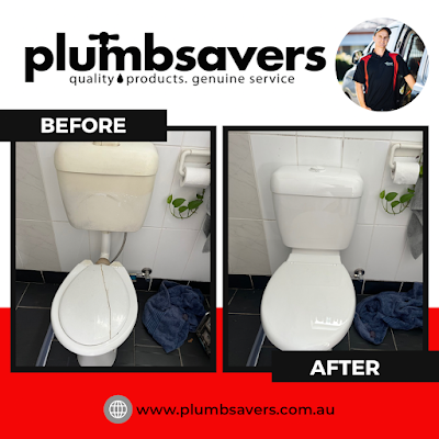 Plumbsavers project 5