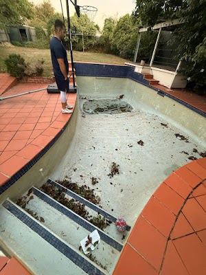 Pool Cleaning Ormond project 6