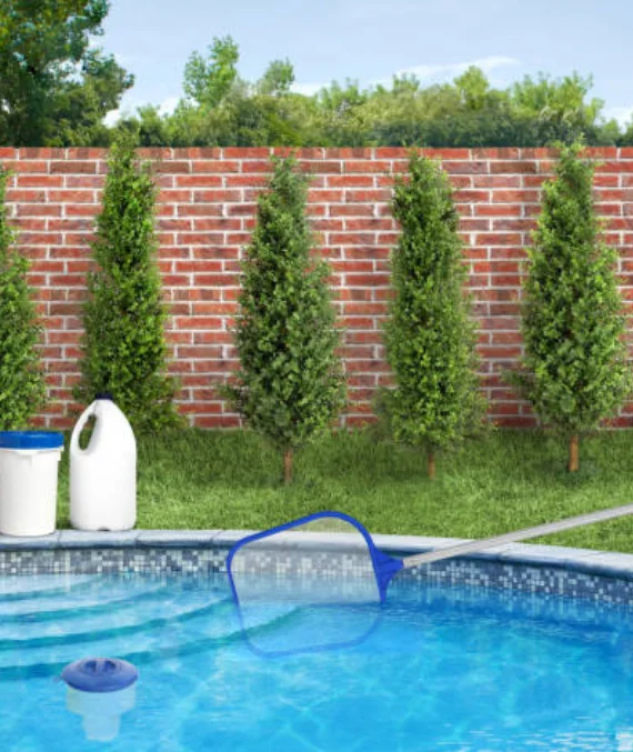 Pool Maintenance Balwyn