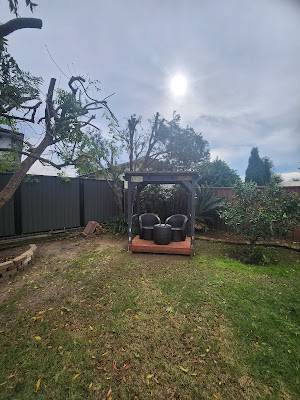 Practical Tree Solutions photo 3