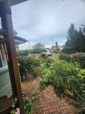 Practical Tree Solutions project 5