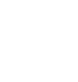 PREMIER TREE SERVICES