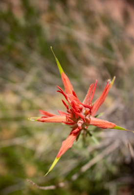 Pro Pest Control Melbourne work 3