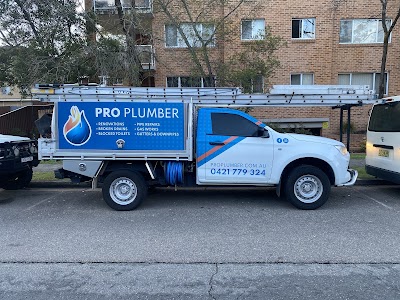 Pro Plumber work 2
