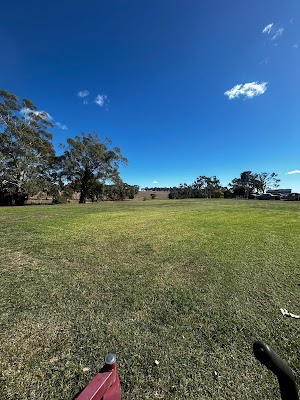 Profile Lawn Services & Profile Cleaning Services project 6