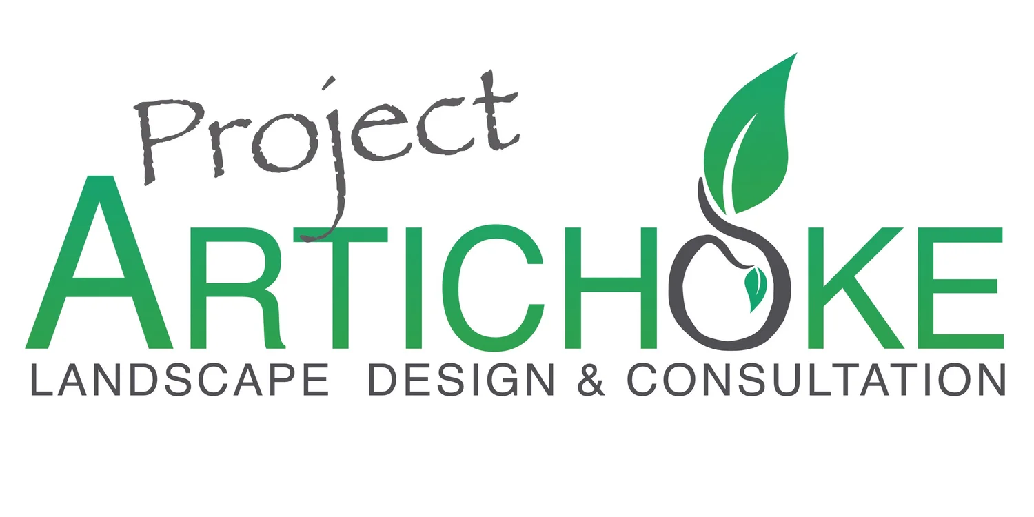 Project Artichoke