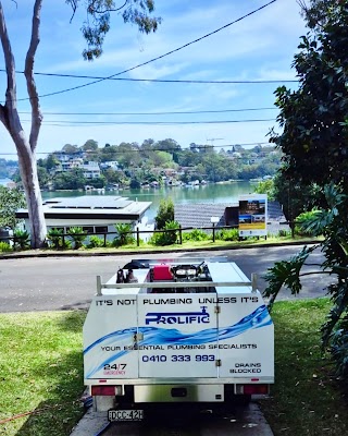 Prolific Plumbing Pipe Relining