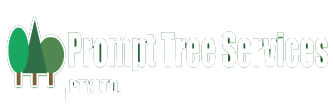 Prompt Tree Services