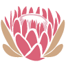 Protea Landscapes