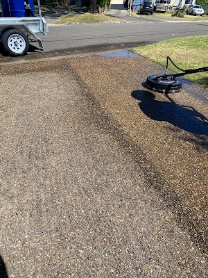 ProWash Gutter & Roof Cleaning PTY LTD project 5