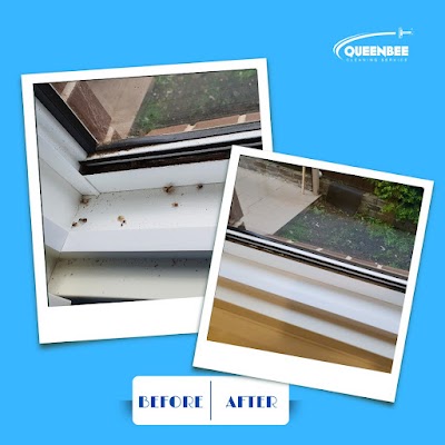 QueenBee Cleaning in Sydney work 2