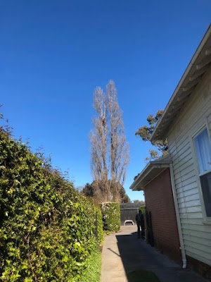 Rapid Tree Solutions project 5