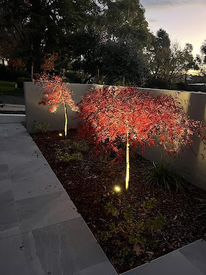 React Electrical Projects Pty Ltd work 4