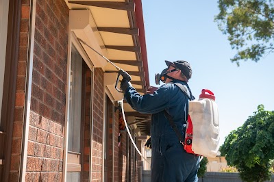 real estate pest control