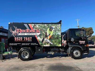 Redback Tree Services Bayside photo 3