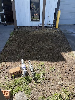 Redback Tree Services Bayside work 4