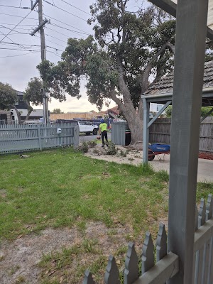 Redback Tree Services Bayside project 5