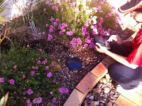 Redknight Termite and Pest Control Melbourne