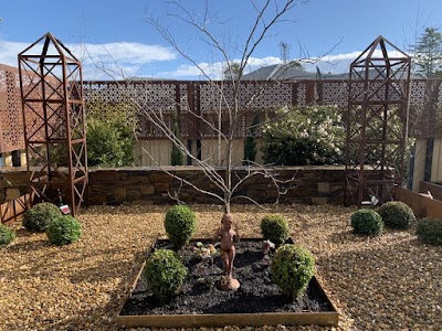 Redwood Landscapes work 3