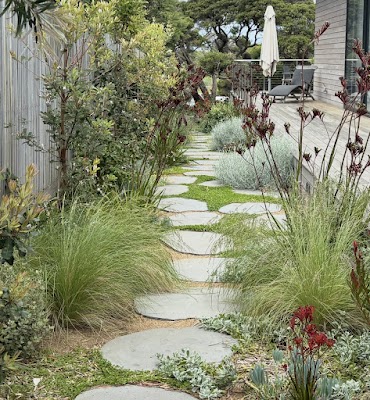 Redwood Landscapes project 5