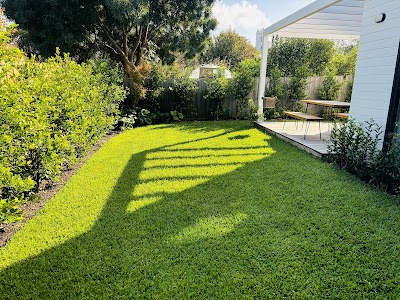 Redwood Landscapes project 6